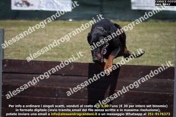IMG_0447.jpg