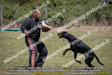 IMG_0578.jpg