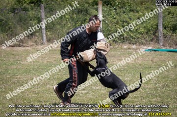 IMG_0591.jpg