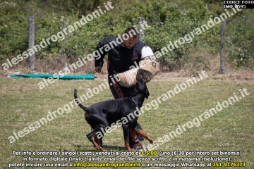 IMG_0595.jpg