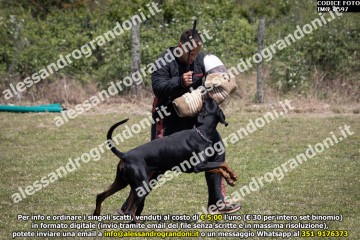 IMG_0597.jpg