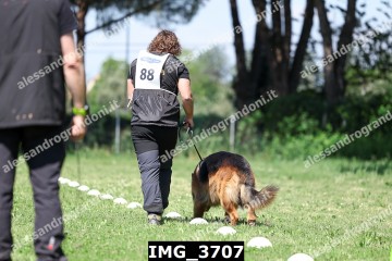 IMG_3707.jpg