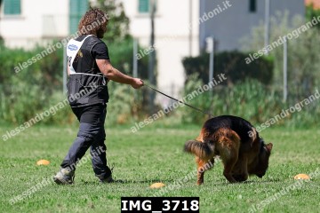 IMG_3718.jpg