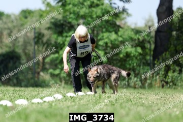 IMG_3734.jpg