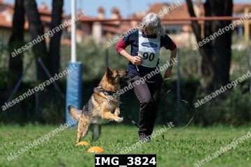 IMG_3824.jpg