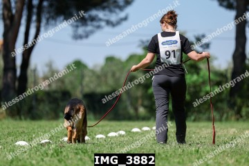 IMG_3882.jpg
