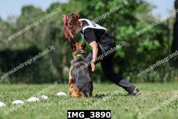 IMG_3890.jpg
