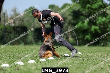 IMG_3973.jpg