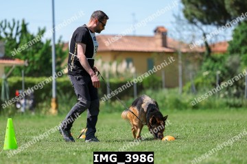 IMG_3986.jpg