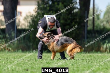 IMG_4018.jpg