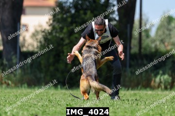 IMG_4024.jpg