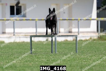 IMG_4168.jpg