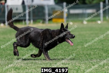 IMG_4197.jpg
