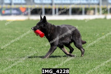 IMG_4228.jpg
