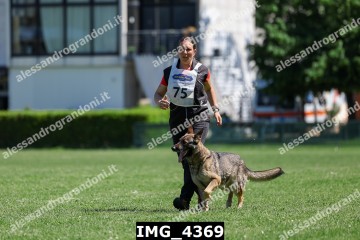 IMG_4369.jpg