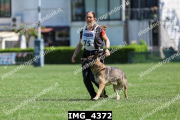 IMG_4372.jpg