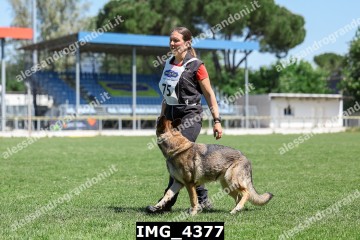 IMG_4377.jpg