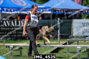 IMG_4525.jpg
