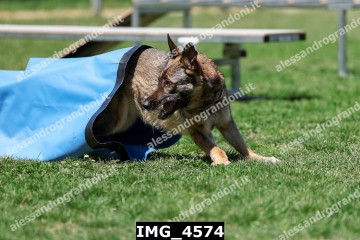 IMG_4574.jpg
