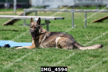 IMG_4594.jpg