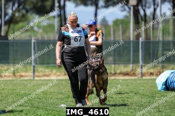 IMG_4610.jpg