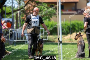 IMG_4618.jpg