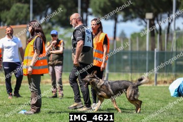 IMG_4621.jpg
