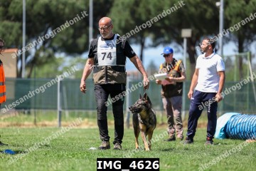 IMG_4626.jpg