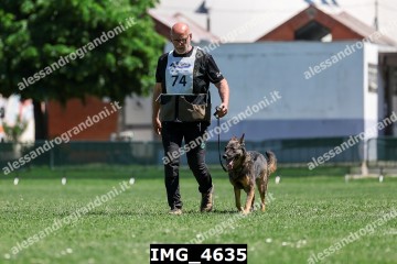 IMG_4635.jpg