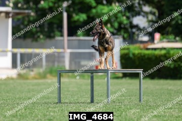 IMG_4684.jpg