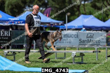 IMG_4743.jpg