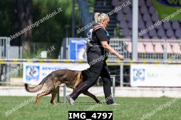 IMG_4797.jpg