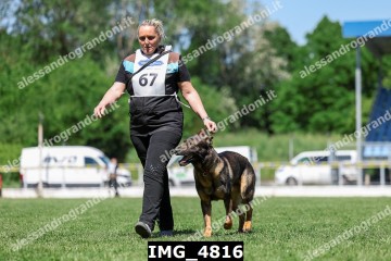 IMG_4816.jpg