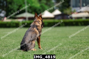 IMG_4819.jpg