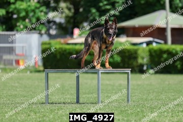 IMG_4927.jpg