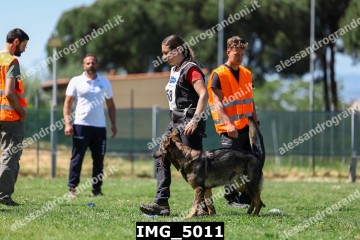 IMG_5011.jpg