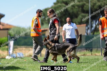 IMG_5020.jpg
