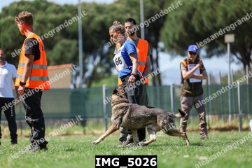 IMG_5026.jpg