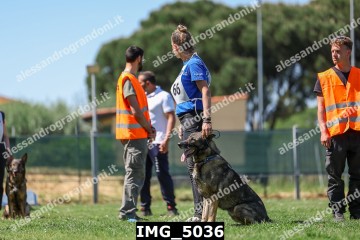 IMG_5036.jpg