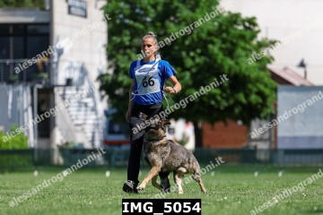 IMG_5054.jpg