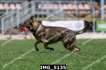 IMG_5135.jpg