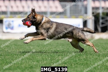 IMG_5139.jpg