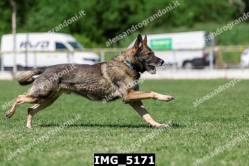 IMG_5171.jpg