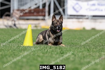 IMG_5182.jpg