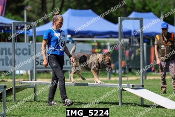 IMG_5224.jpg