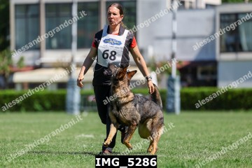 IMG_5286.jpg
