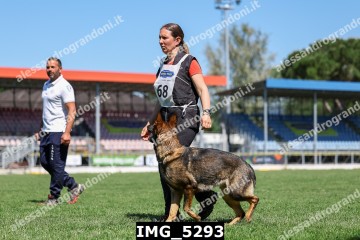 IMG_5293.jpg