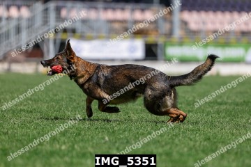 IMG_5351.jpg