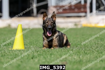IMG_5392.jpg