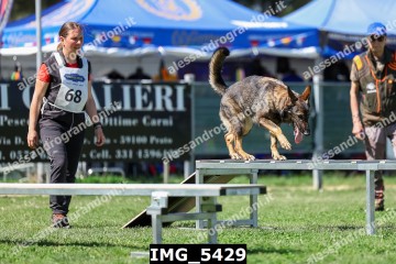 IMG_5429.jpg